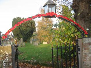 Remembrance Poppies Article Photo - 