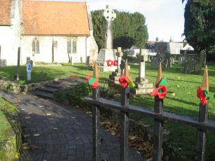 Remembrance Poppies Article Photo - 
