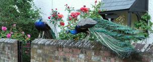 Banner Photo -  -  1300562429.jpg