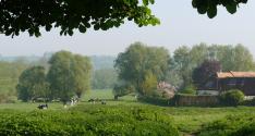 Banner Photo -  -  1319641241.jpg
