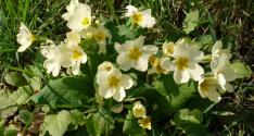 Banner Photo -  -  1319641246.jpg