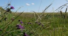 Banner Photo -  -  1319641315.jpg