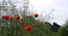 Banner Photo -  -  1319641348.jpg