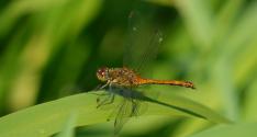 Banner Photo -  -  1319641371.jpg