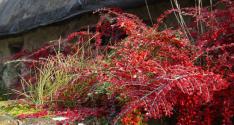 Banner Photo -  -  1319641376.jpg