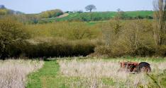 Banner Photo -  -  1369071331.jpg