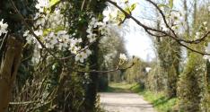 Banner Photo -  -  1369071342.jpg