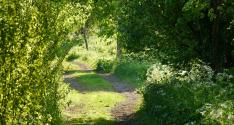 Banner Photo -  -  1369590699.jpg