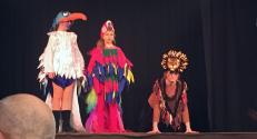 Banner Photo - The Lion King, January 2015 -  1493239138.jpg