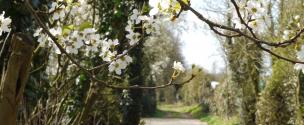 Banner Photo -  -  1711712139Spring-8.jpg.jpg